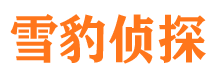 枣阳市调查公司